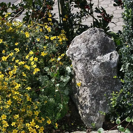 Retterath Am Nuerburgring Wiesemscheid